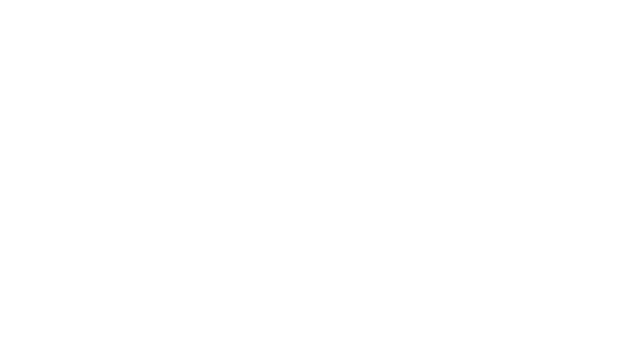 The Salocin Group logo