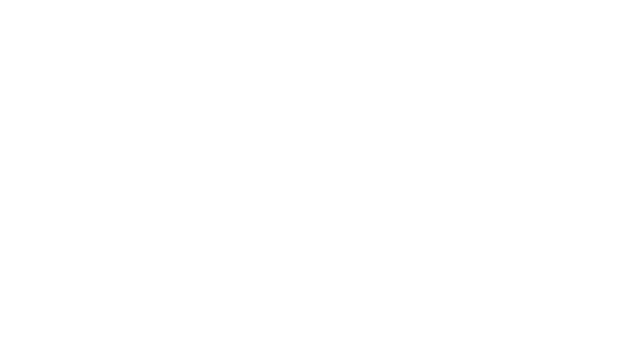 Weflip logo